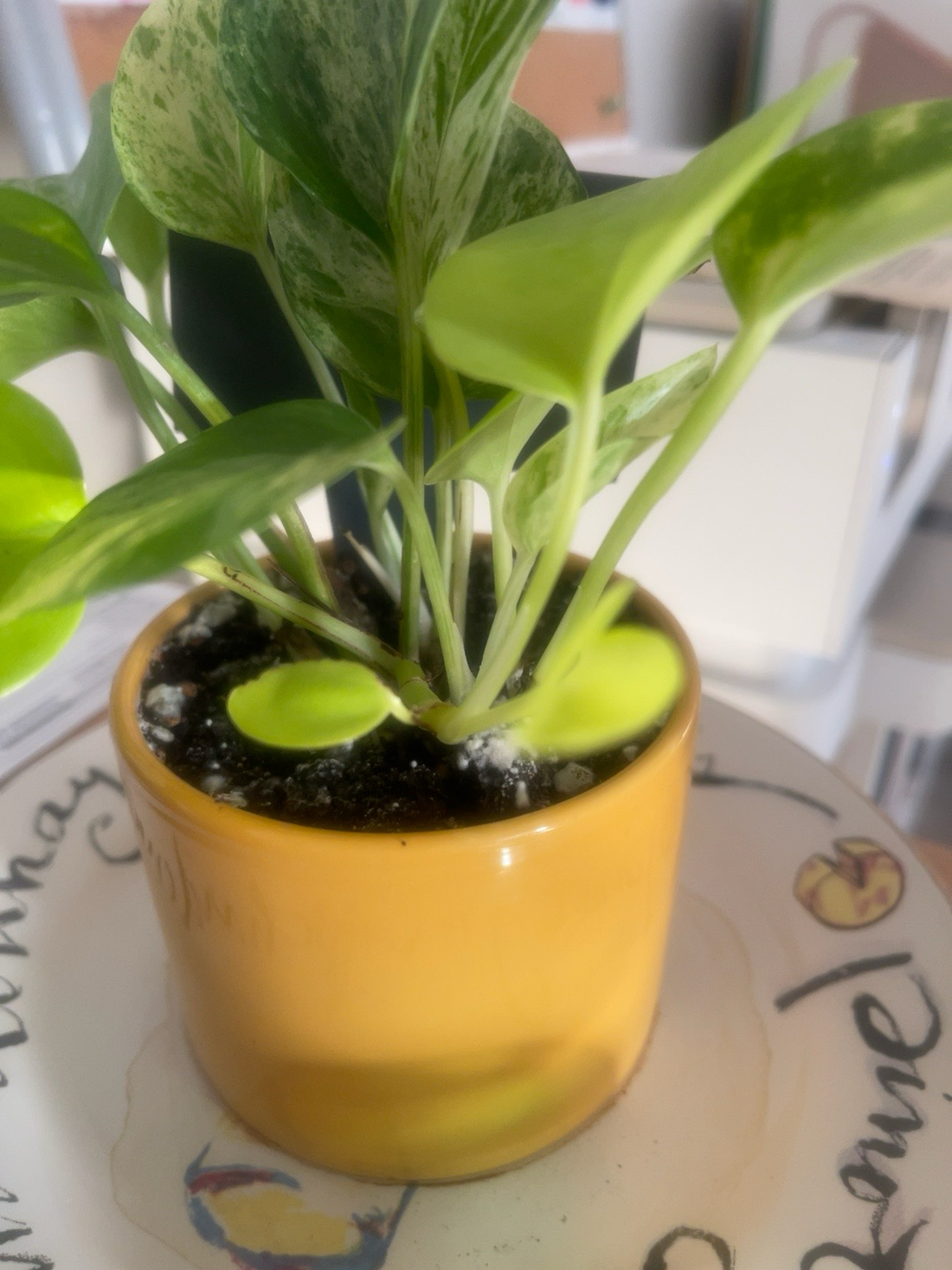Internal Work Before Visible Fruit™ - Part 1: The Work Within