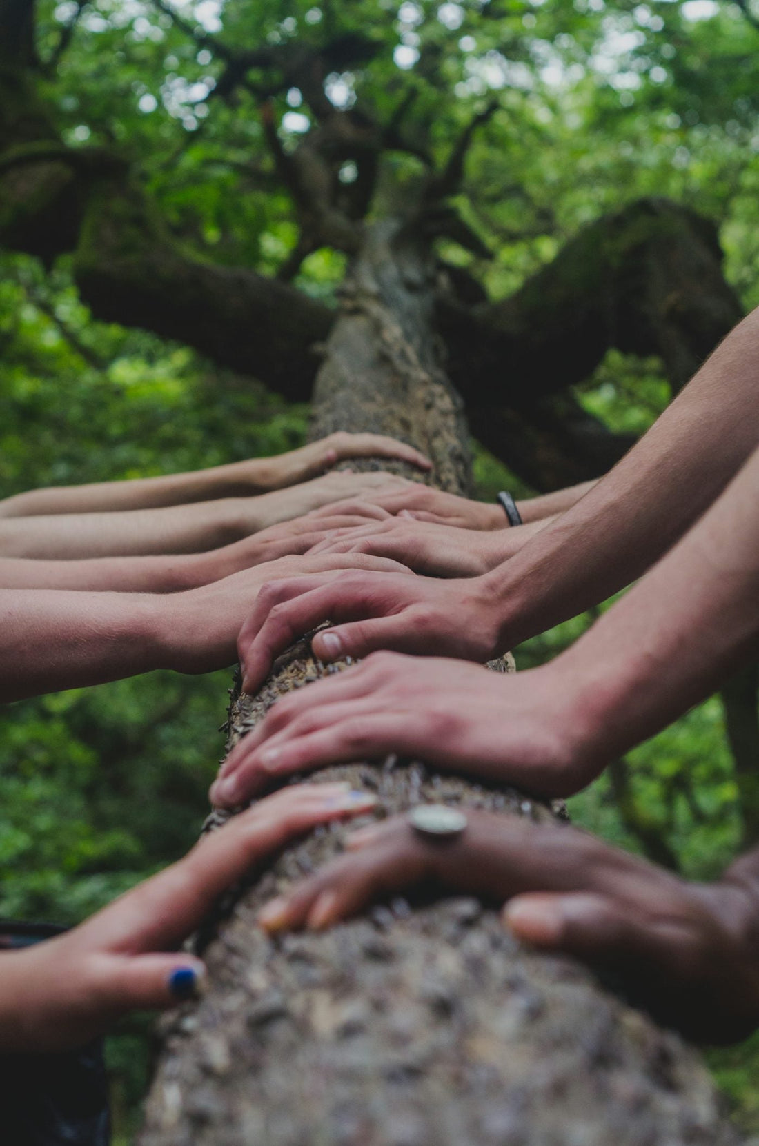 Living Nobly in the Kingdom of God